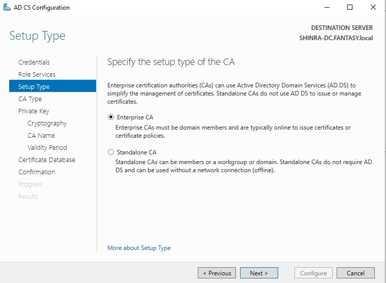 AD CS Configuration Setup Type