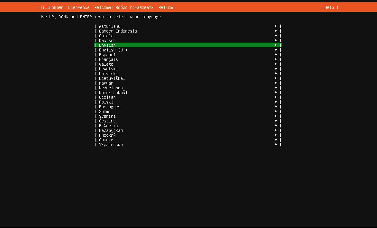 Ubuntu Setup Language