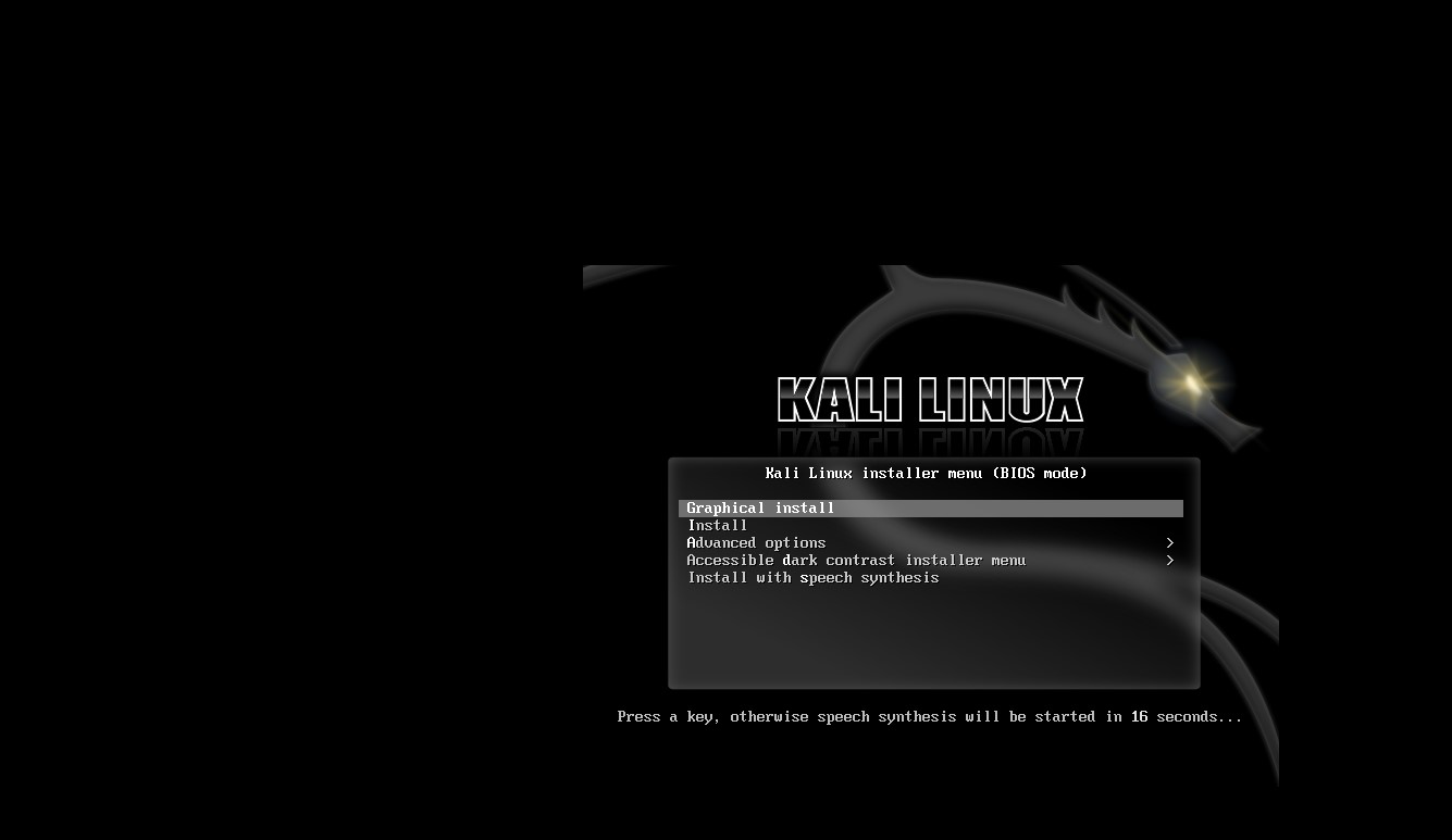 Kali Install Choice