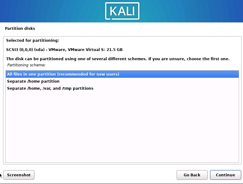 Kali Install Partition
