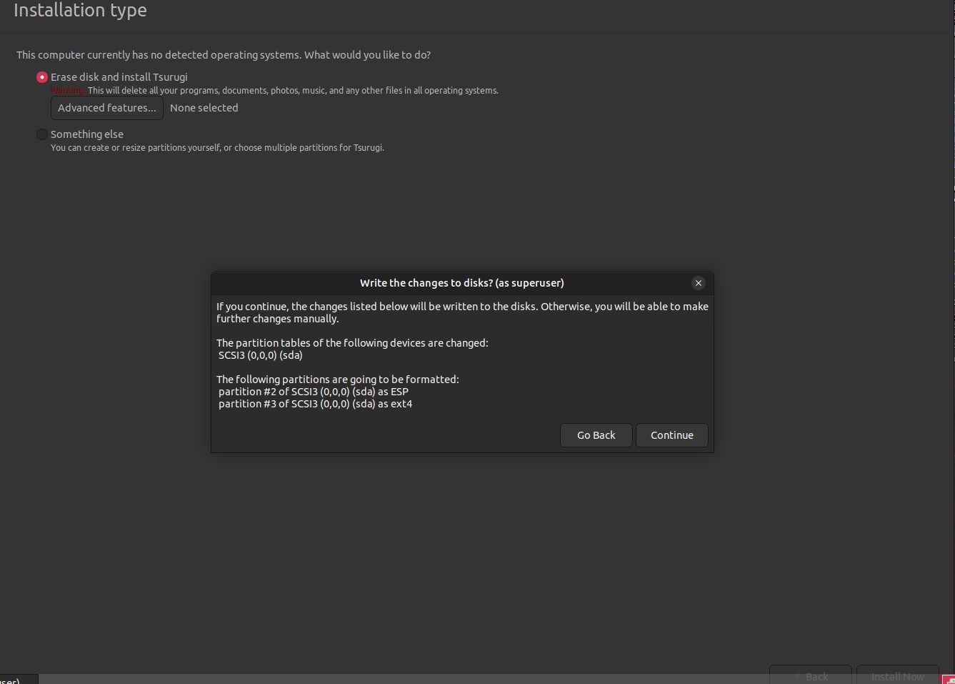 Tsurugi Install Wizard Type