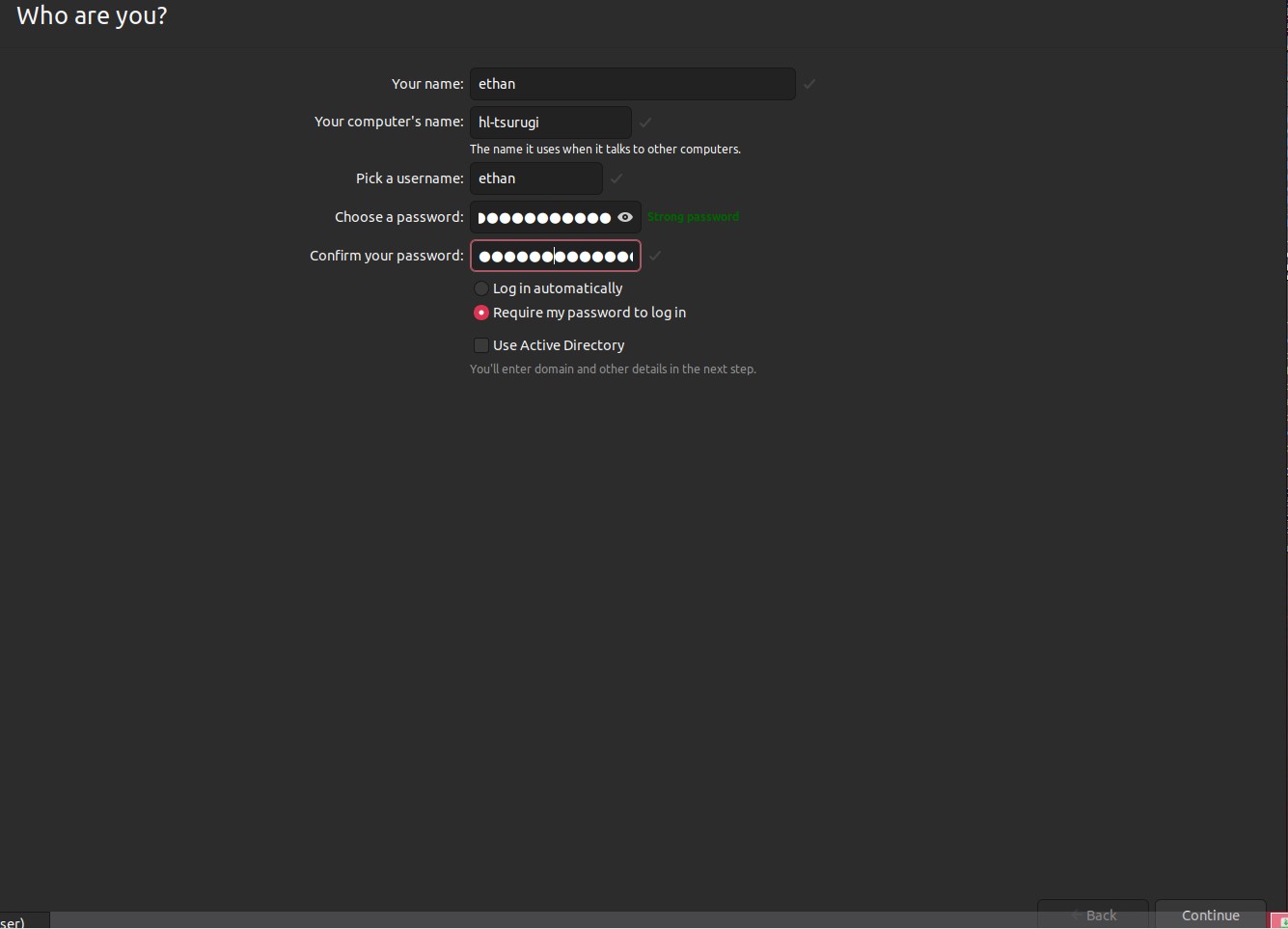 Tsurugi Install Wizard Who