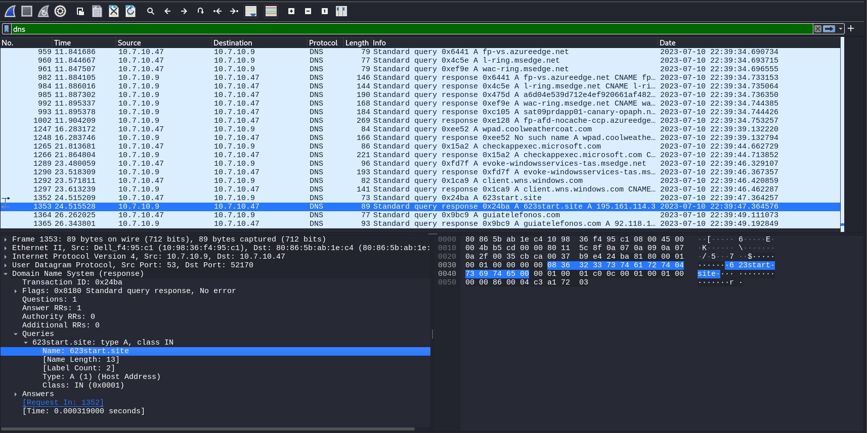 Redline Wireshark DNS Filtering
